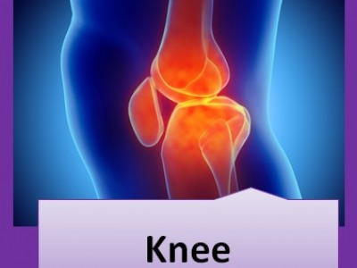 A graduate’s guide: The knee