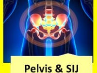 A graduate’s guide: The pelvis