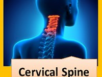 A graduate’s guide: The cervical spine