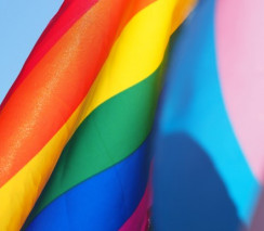 LGBTQIA+ Affirming Physiotherapy – Part A
