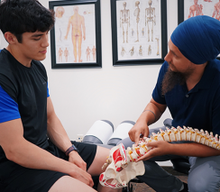 Musculoskeletal Physiotherapy Level 1 pre-requisite modules