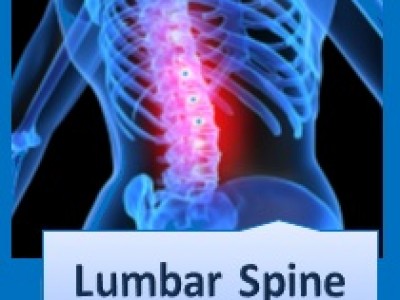 A graduate’s guide: The lumbar spine