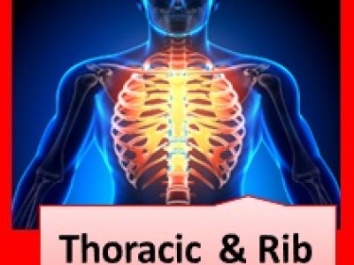 A graduate’s guide: The thoracic spine & ribs