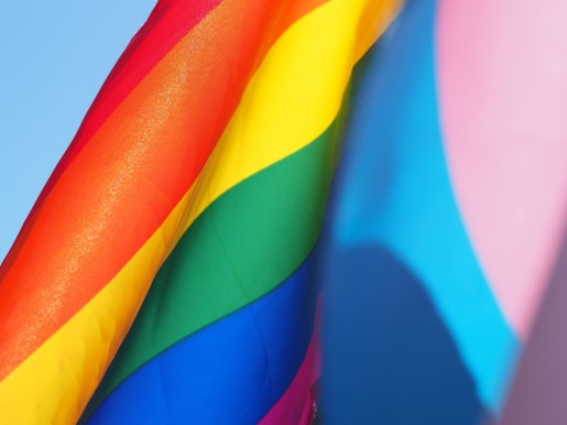 LGBTQIA+ Affirming Physiotherapy – Part A